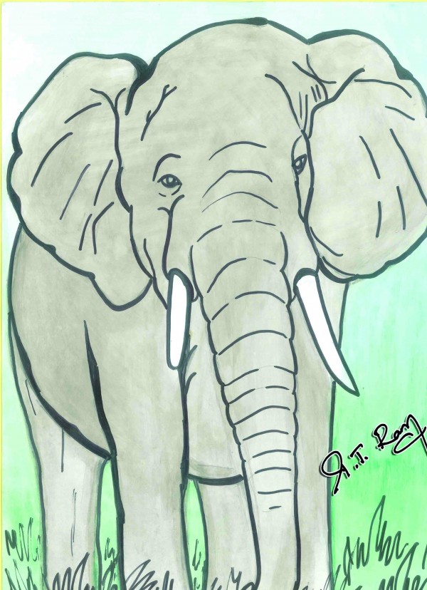 Watercolor Painting Of Elephant 