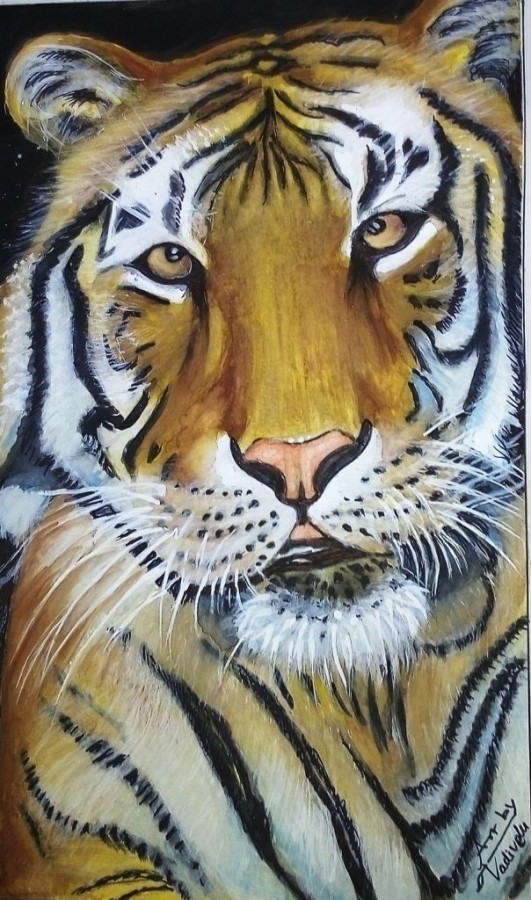 Watercolor Painting Of Tiger - DesiPainters.com