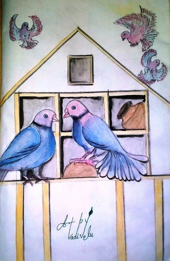 Watercolor Painting Of Pigeons - DesiPainters.com