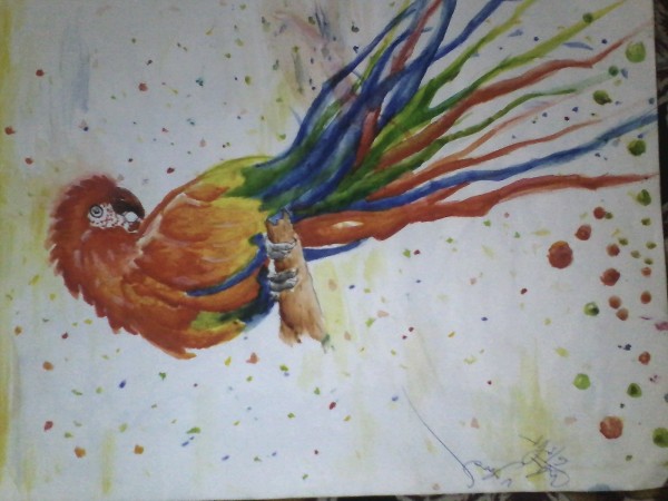 Water Color Painting Of Parrot