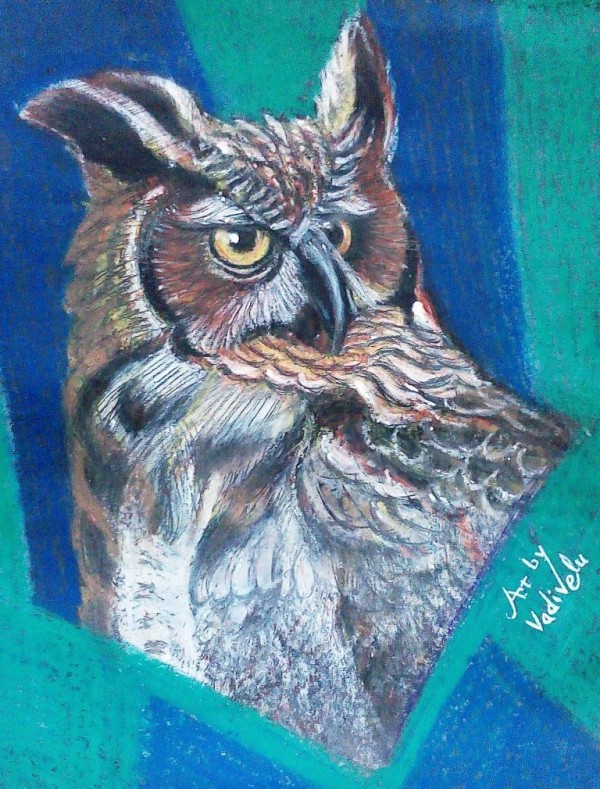 Crayon Painting Of Owl - DesiPainters.com