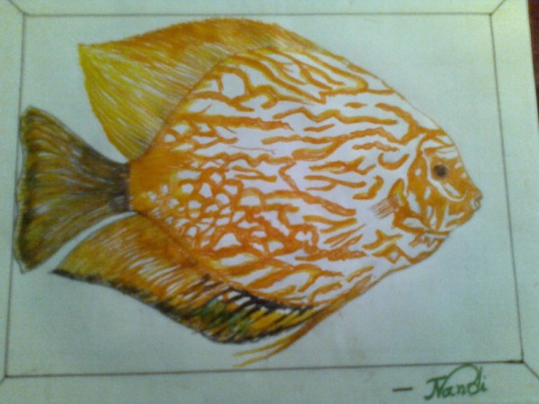 Pencil Color Sketch Of Sea Fish By Totan Nandi - DesiPainters.com