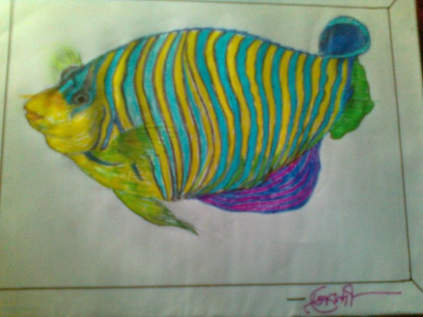 Pencil Color Sketch Of Sea Fish - DesiPainters.com