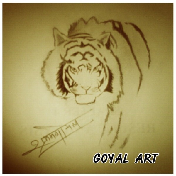 Pencil Sketch Of Tiger - DesiPainters.com