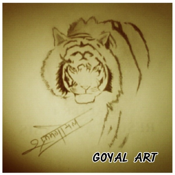 Pencil Sketch Of Tiger - DesiPainters.com