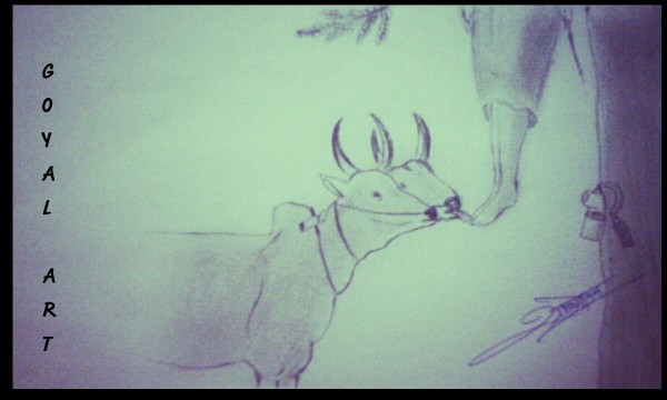 Pencil Sketch Of kisaan With Ox's