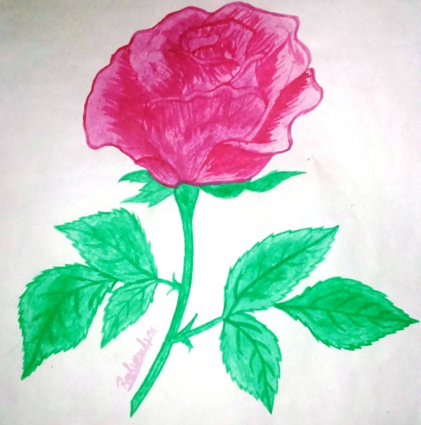 watercolor Painting Of Red Rose - DesiPainters.com