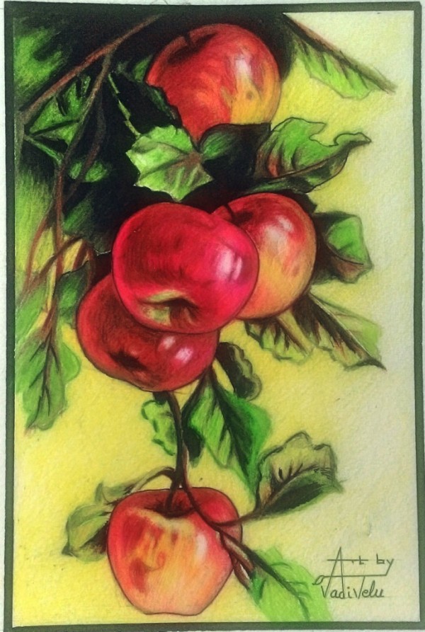 Pencil Colors Drawing Of Apples