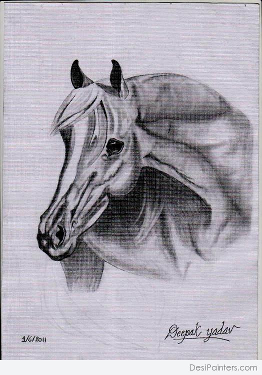 Pencil Sketch Of Horse - DesiPainters.com