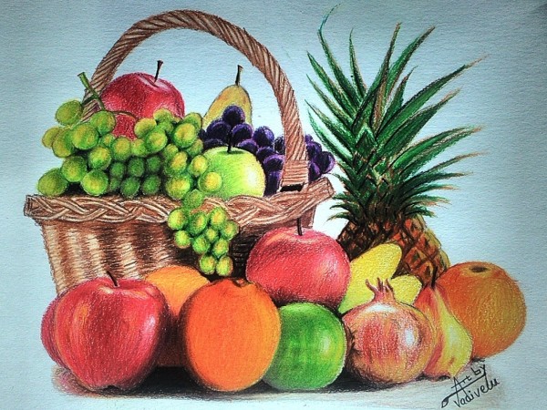 Pencil Color Sketch Of Fruit Bucket - DesiPainters.com