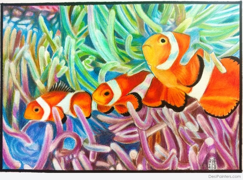 Pencil Color Sketch Of Clown Fish | DesiPainters.com