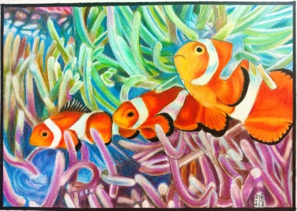 Pencil Color Sketch Of Clown Fish - DesiPainters.com