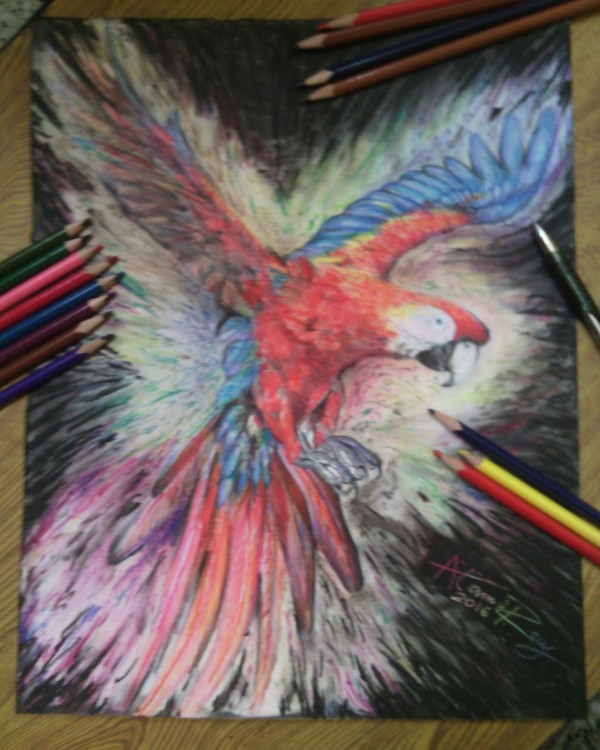 Pencil Color Painting Of Parrot - DesiPainters.com
