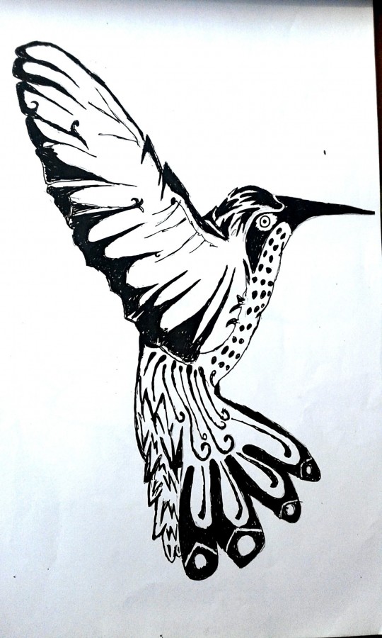 Ink Painting Of Bird By Debasish