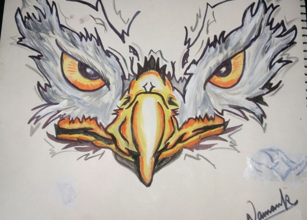 Watercolor Painting Of Eagle By Naman
