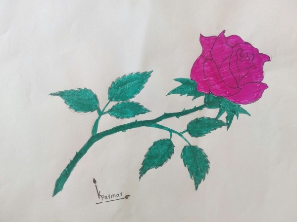 Pencil Color Sketch Of Rose - DesiPainters.com