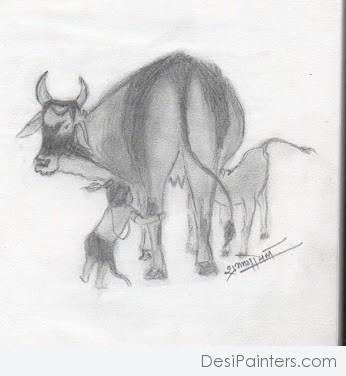 Pencil Sketch Made By Shubham Goyal