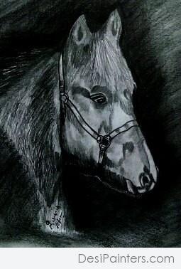 Pencil Sketch of Horse - DesiPainters.com