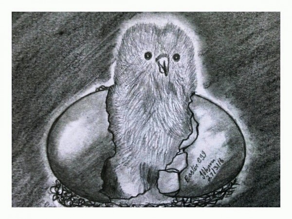 Pencil Sketch of Easter Egg