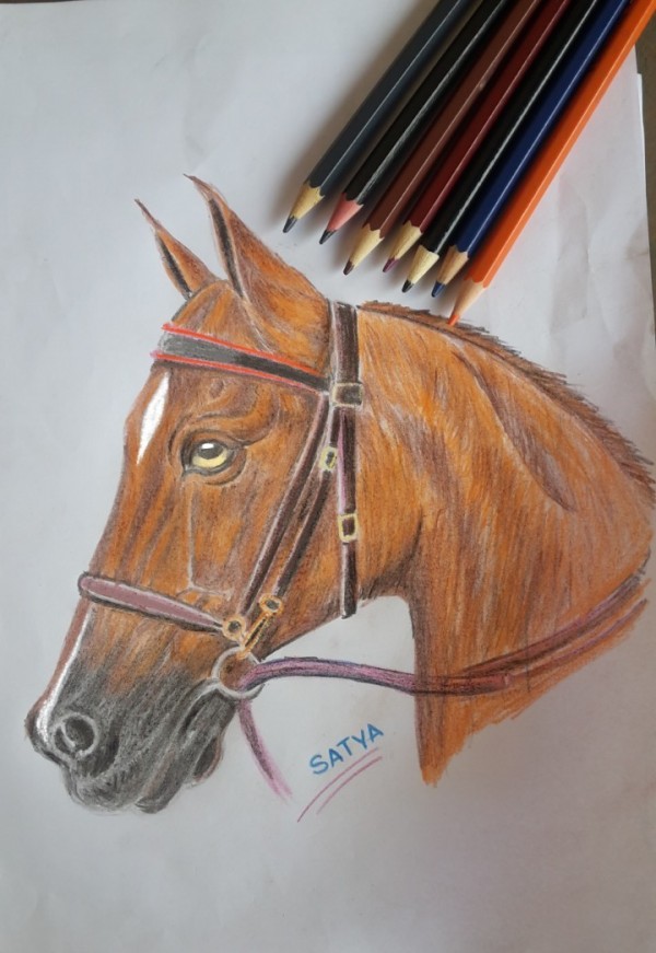 Color Pencil Painting by Satya Kadu