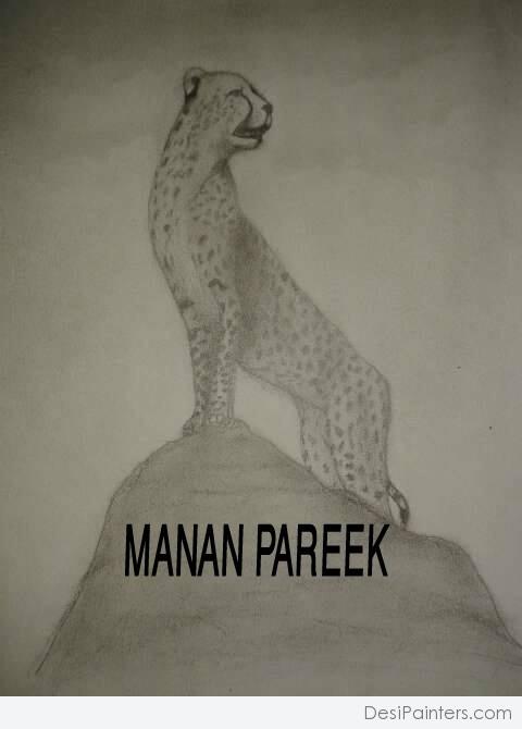 Pencil Sketch of Cheeta by Manan Pareek - DesiPainters.com