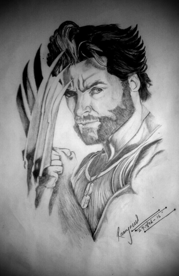 Superb Pencil Sketch Of X-Men Wolverine - DesiPainters.com