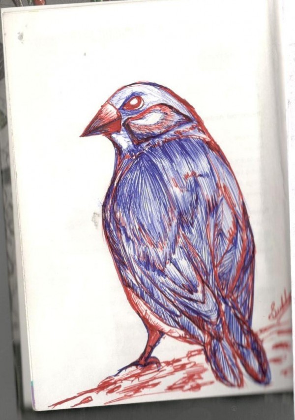 Ink Painting Of Bird