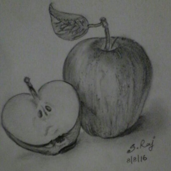 Awesome Pencil Sketch Of Apple - DesiPainters.com