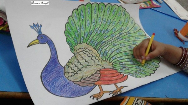Pencil Color Sketch of Peacock