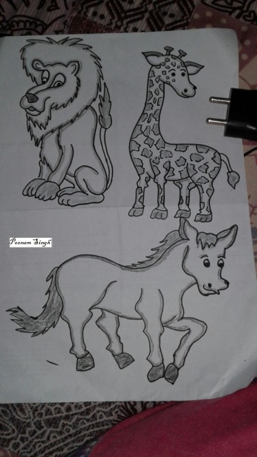 Pencil Sketch of Animals - DesiPainters.com