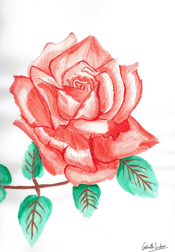 Watercolor Painting of Rose - DesiPainters.com