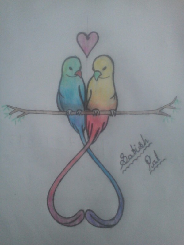 Pencil Color Sketch of Love bird - DesiPainters.com