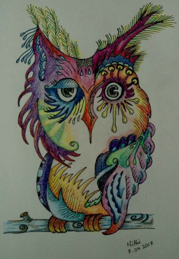 Pencil Color of Owl - DesiPainters.com