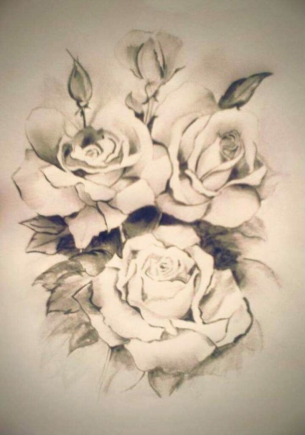 Pencil Sketch of Flowers