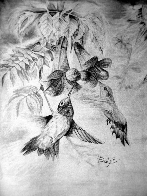 Pencil Sketch of Birds - DesiPainters.com