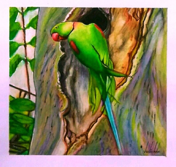 Watercolor Painting of Parrot - DesiPainters.com