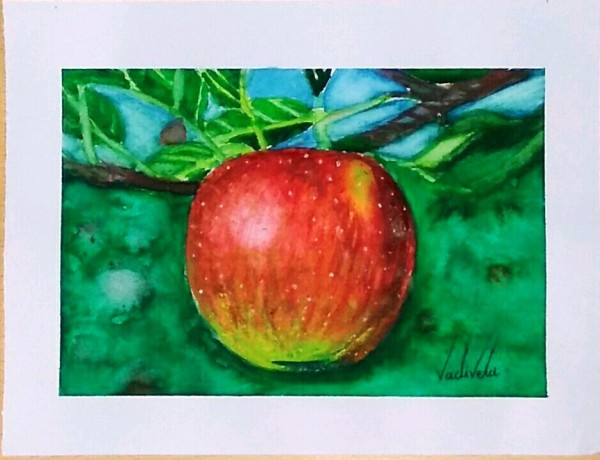 Watercolor Painting of Apple - DesiPainters.com