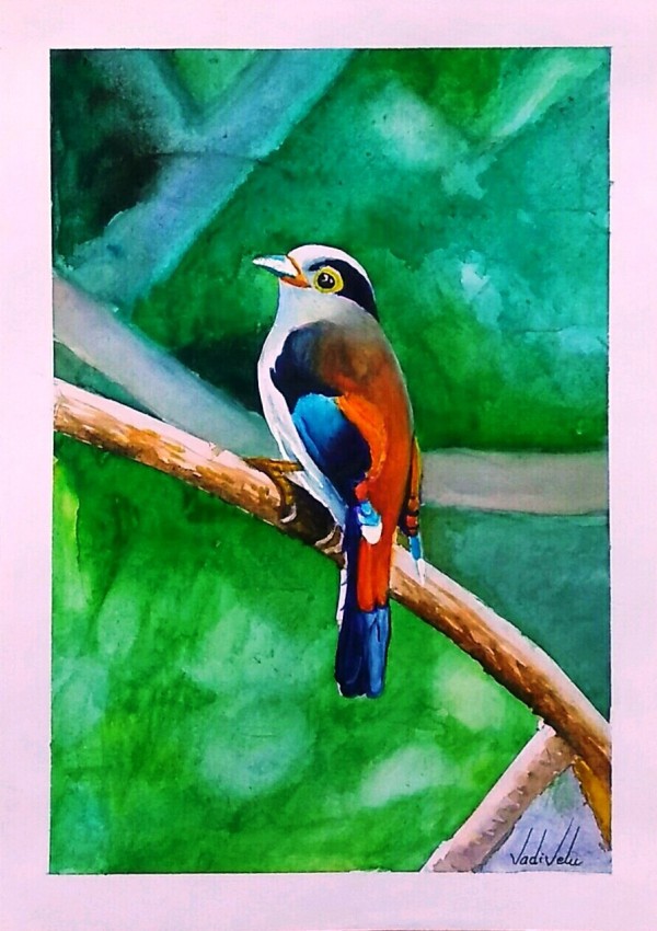 Watercolor Painting of Lovely Bird - DesiPainters.com