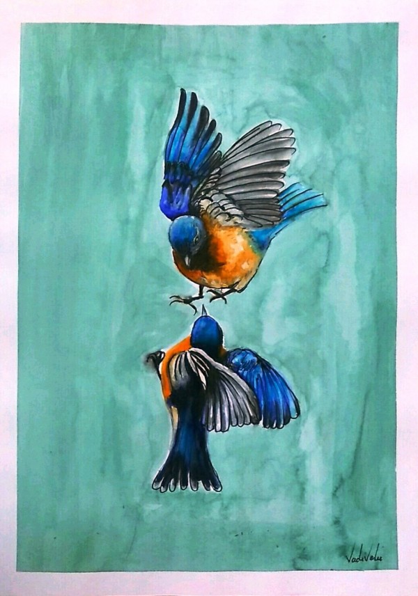 Watercolor Painting of Playing Birds