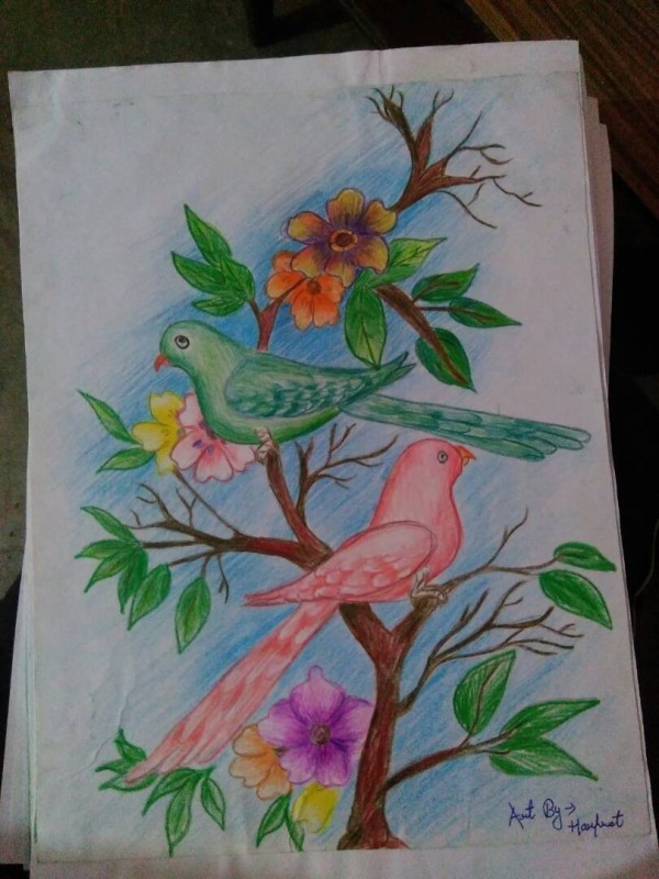 Pencil Color Sketch of Birds - DesiPainters.com