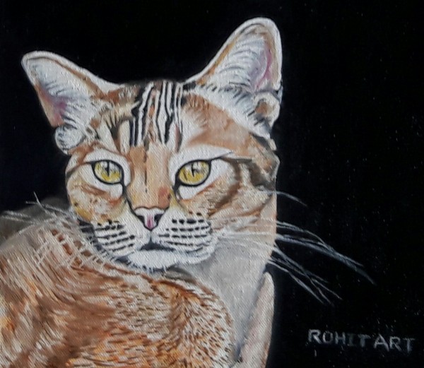 Oil Painting of Cat - DesiPainters.com