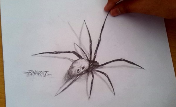 3D Pencil Sketch Of Spider By Bharat Rathore