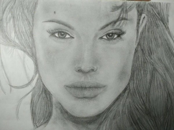 Perfect Pencil Sketch Of Angelina Jolie - DesiPainters.com