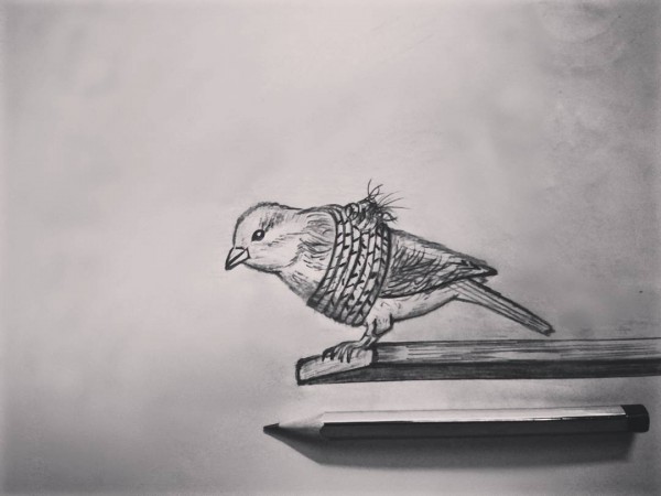 Pencil Sketch Of Bird Tied With Rope - DesiPainters.com