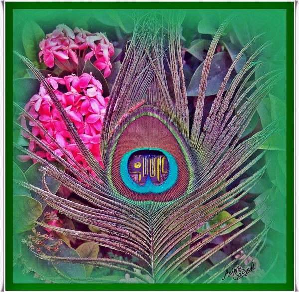 Classic Digital Painting Of Peacock Feather