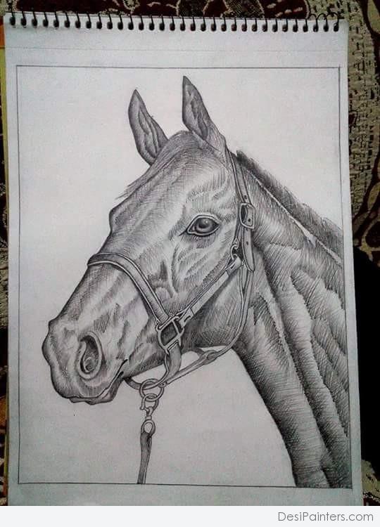 Pencil Sketch Of Horse - DesiPainters.com