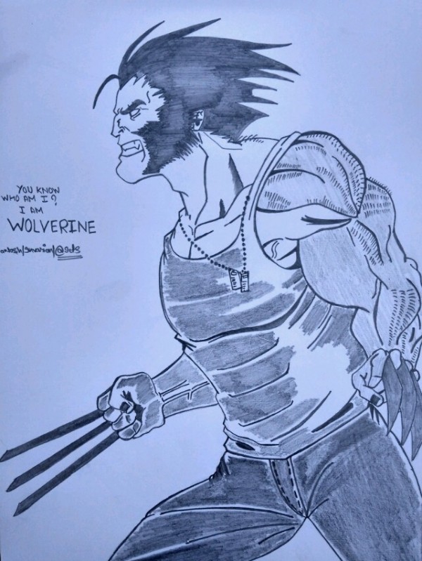 Brilliant Pencil Sketch Of Wolverine - DesiPainters.com