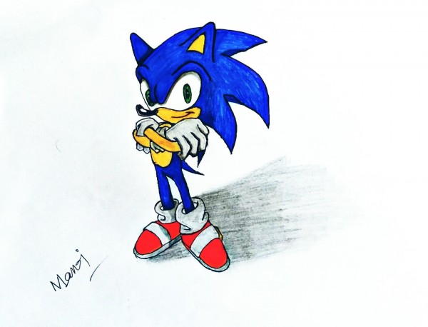 Beautiful Pencil Color Of Sonic - DesiPainters.com