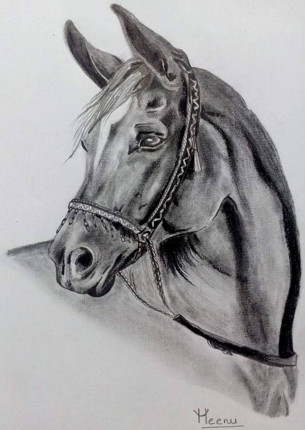 Awesome Pencil Sketch Of Horse - DesiPainters.com