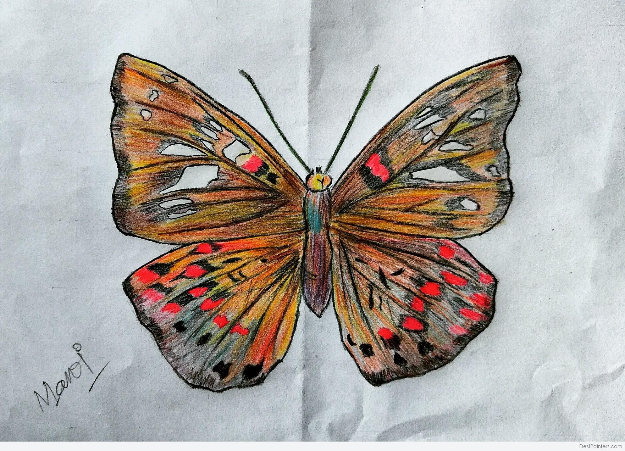 A beautiful butterfly and flowers | Beautiful butterflies, Colorful drawings,  Beautiful